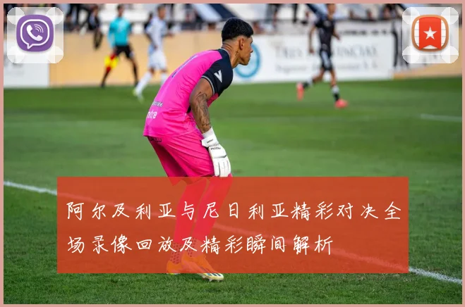 阿尔及利亚与尼日利亚精彩对决全场录像回放及精彩瞬间解析